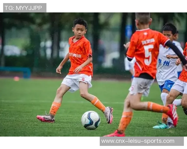 安徽足球崛起之路探秘：从青训到职业联赛的全面发展与挑战